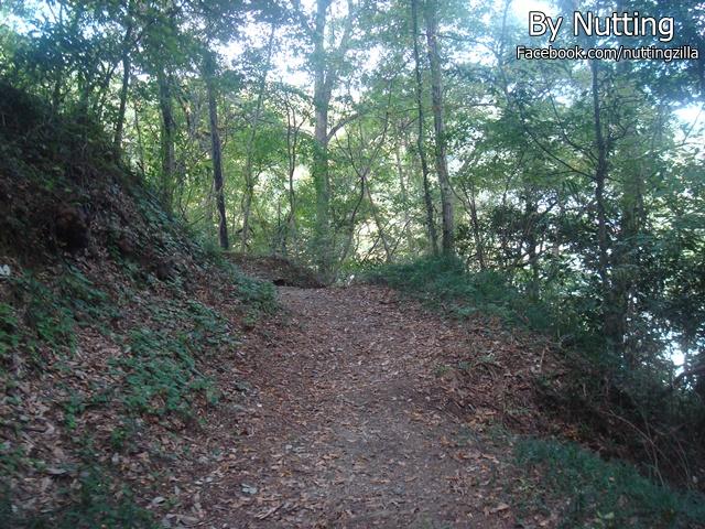 DSC03921.JPG